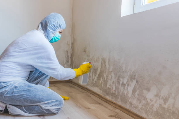 Licensed Mold Testing service in Clifton, TX - WQB Mold Removal