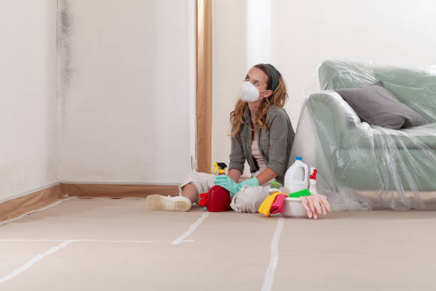 Reliable Mold Testing contractor in Clifton, TX by WQB Mold Removal